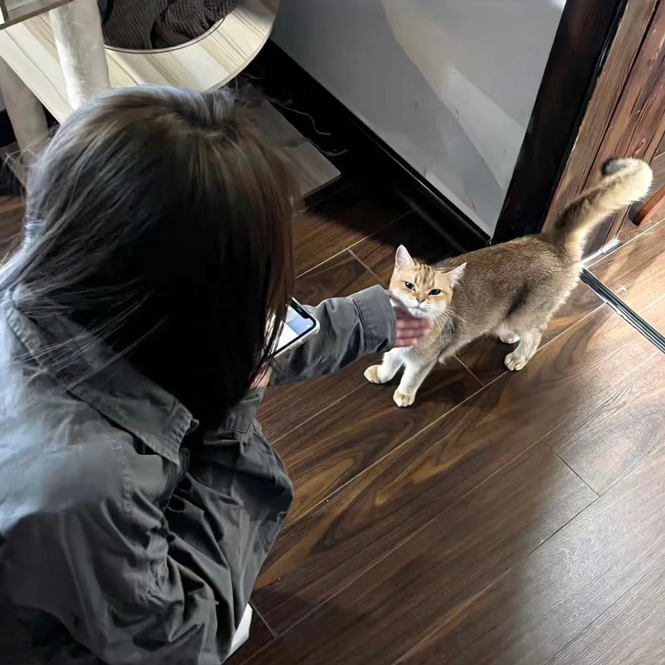 台