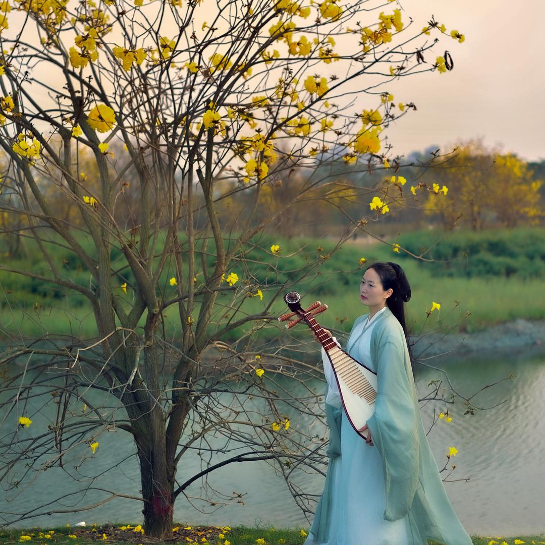 贵港市琵琶教学、培训（古枫艺术）