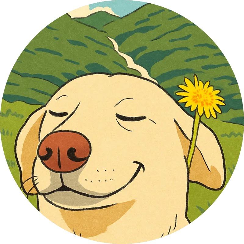 𝑺𝒄𝒉𝒆𝒆𝒍𝒆