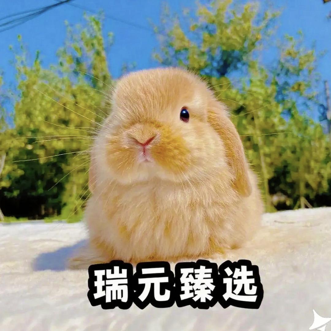 瑞元臻选
