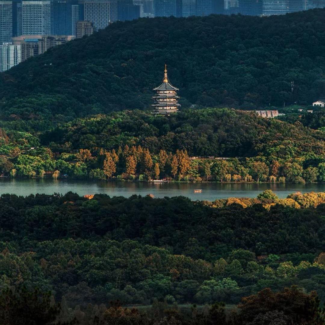想想明天吃什么