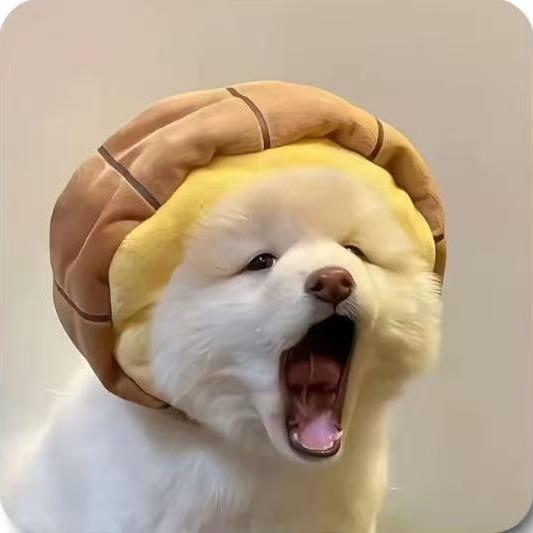 央央🫆