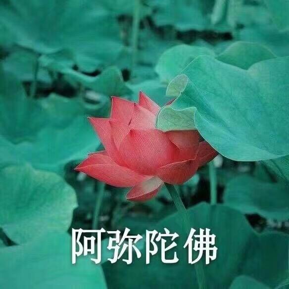 王惠