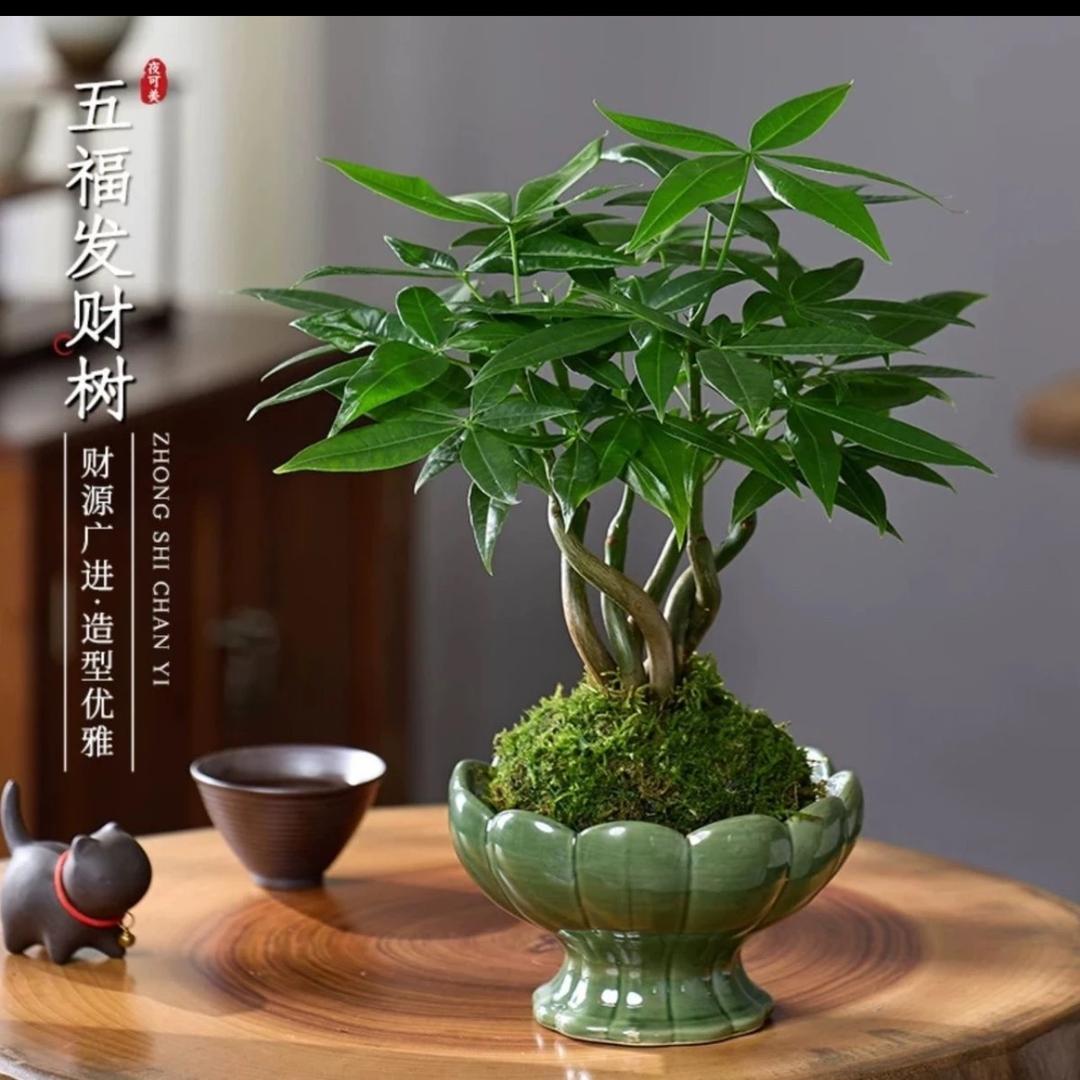 坤祥劳务~玲姐