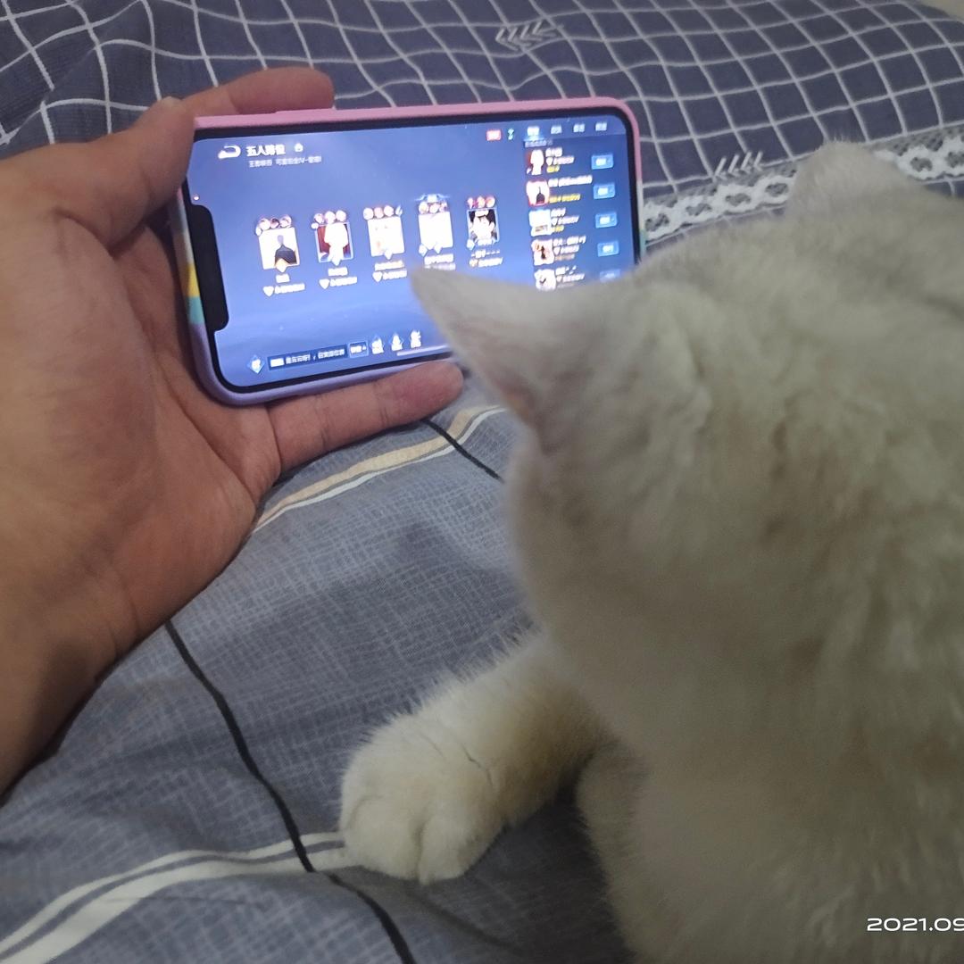 在奉天没得理想