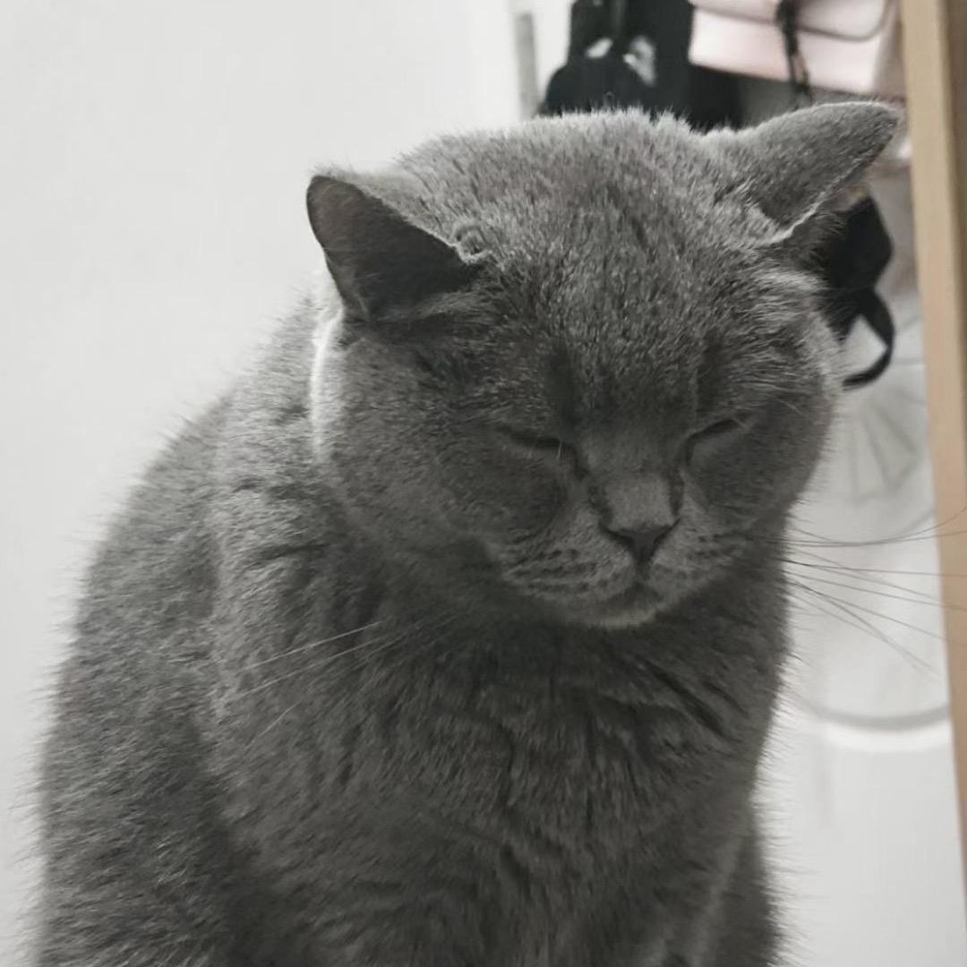 浪潮