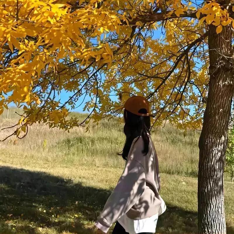 依依小橱窗