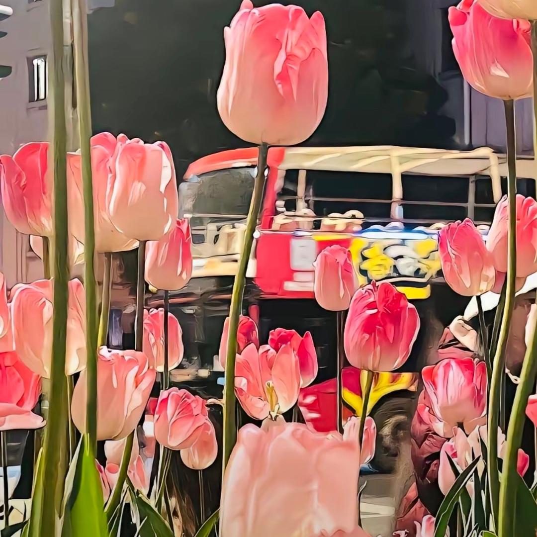 就叫梵高
