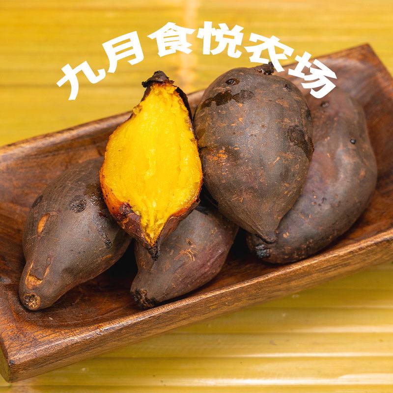 九月食悦蜜薯