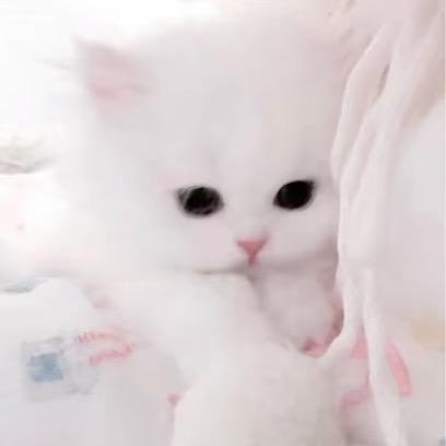 怡iu