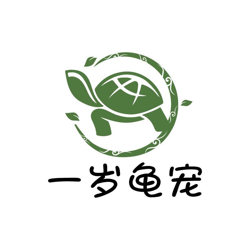 一岁龟宠
