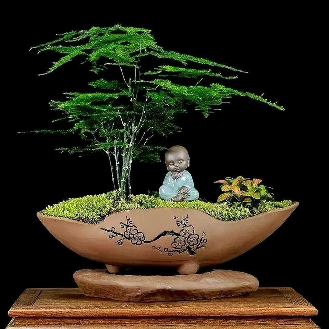 每日精选优品