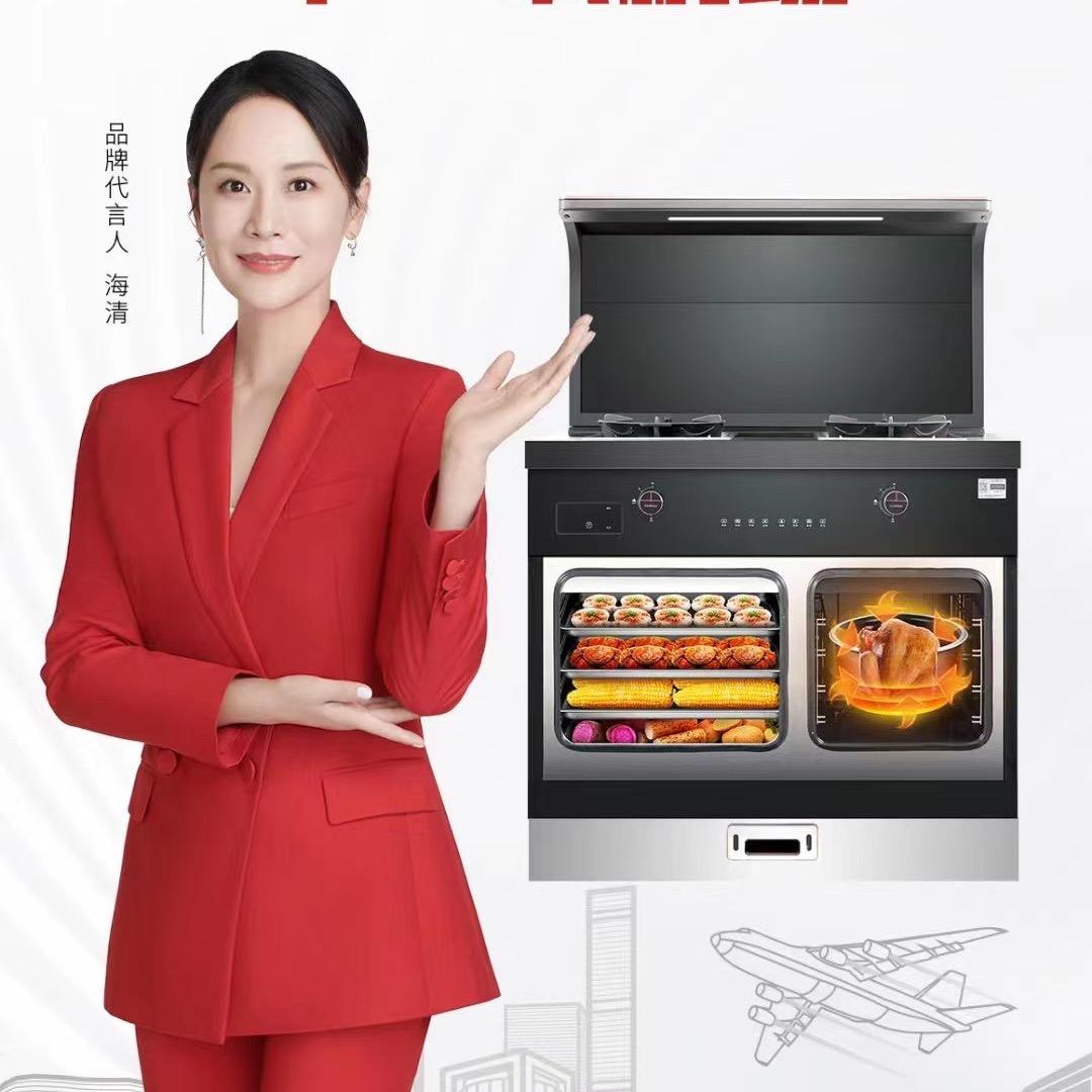 长兴帅丰集成灶