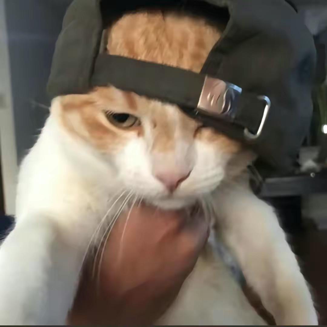 北冥mmm