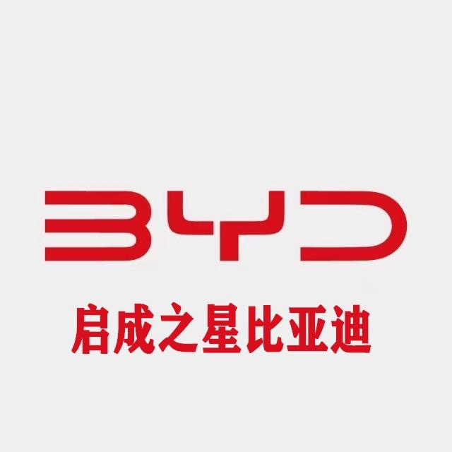 比亚迪卧龙店