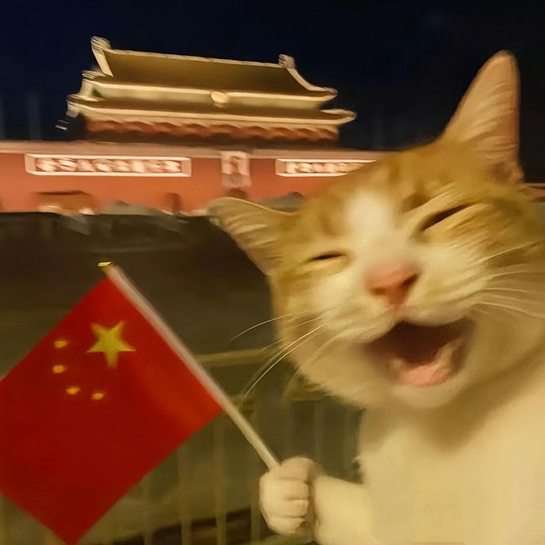 猫咪（佳佳）💃