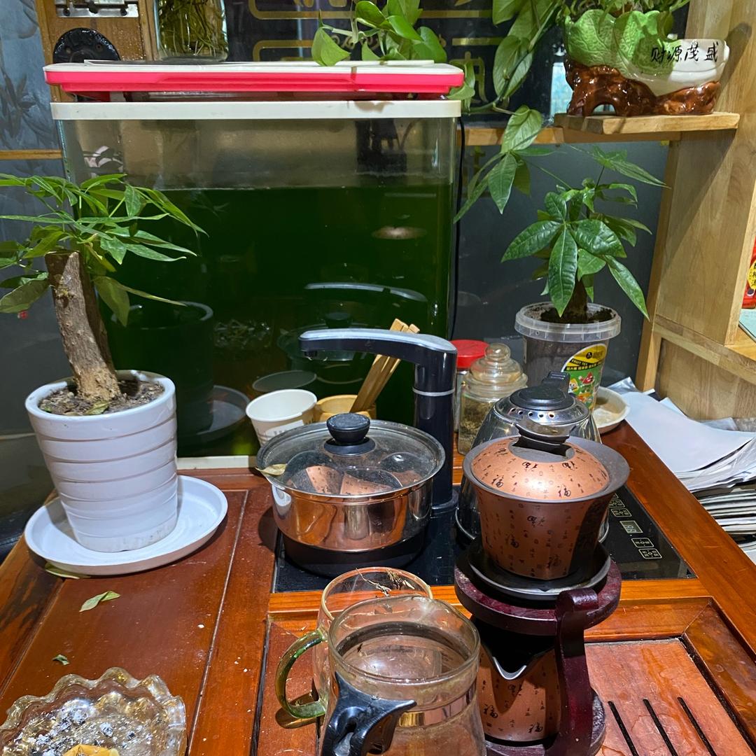 马裔凉皮温莎店