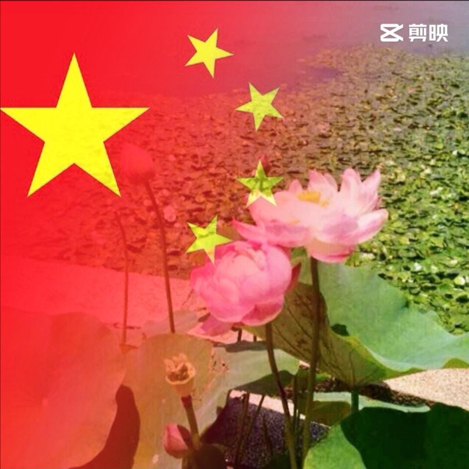 娟娟