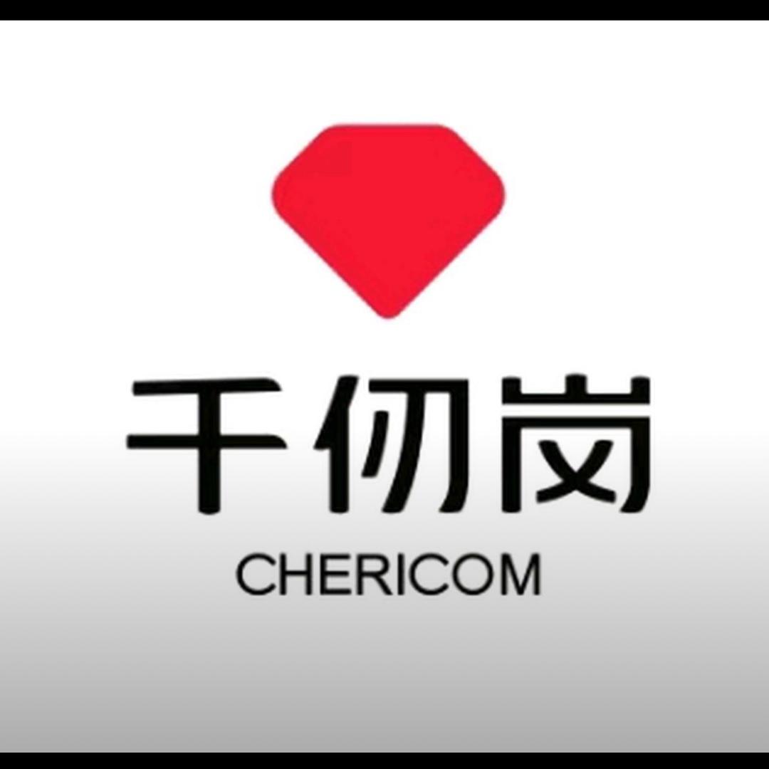 商丘市步行街千仞岗1