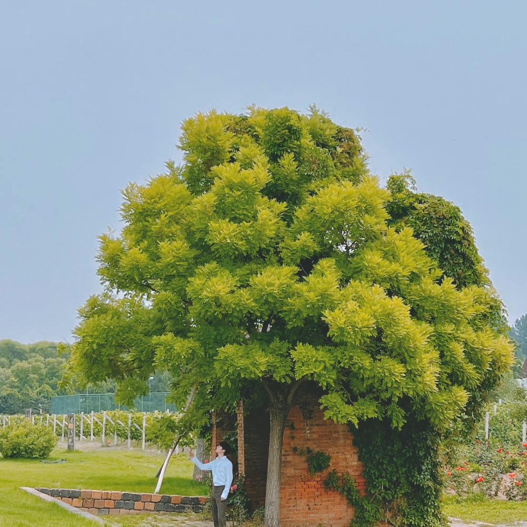 七七哈哈嘿嘿嚯嚯