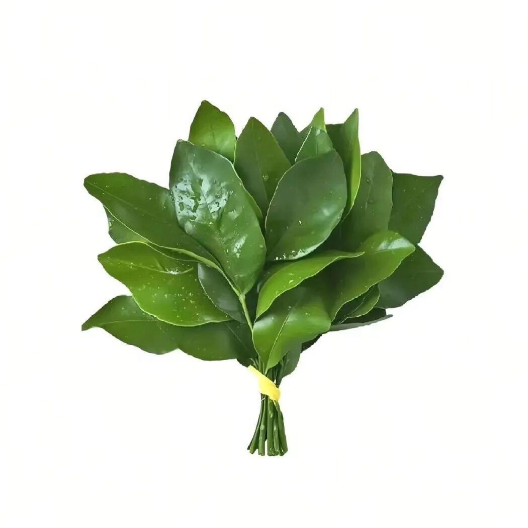 金铁锤（吐槽版）