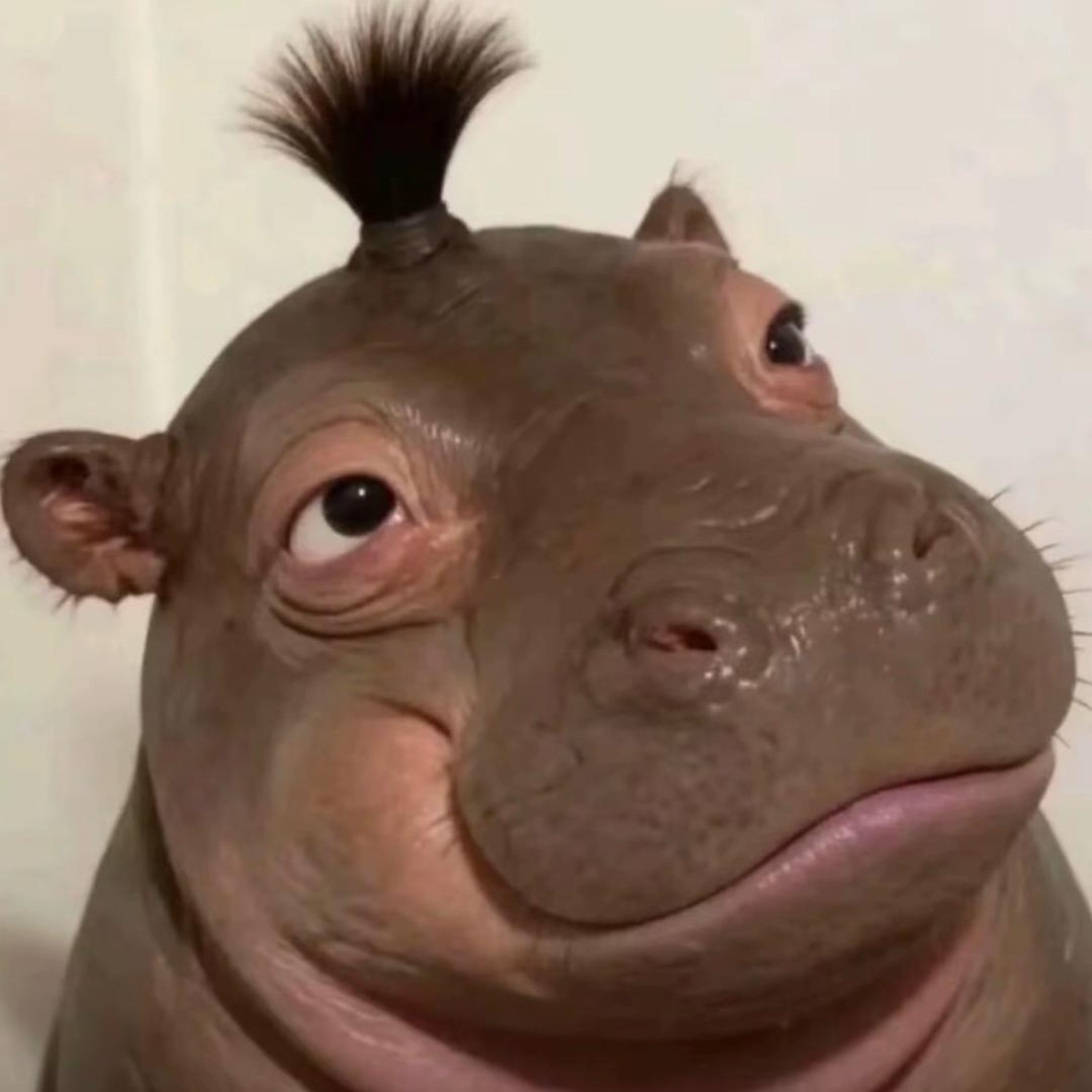 驴儿呀