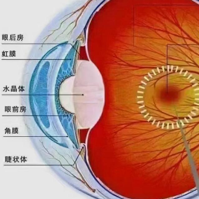 知识分享！