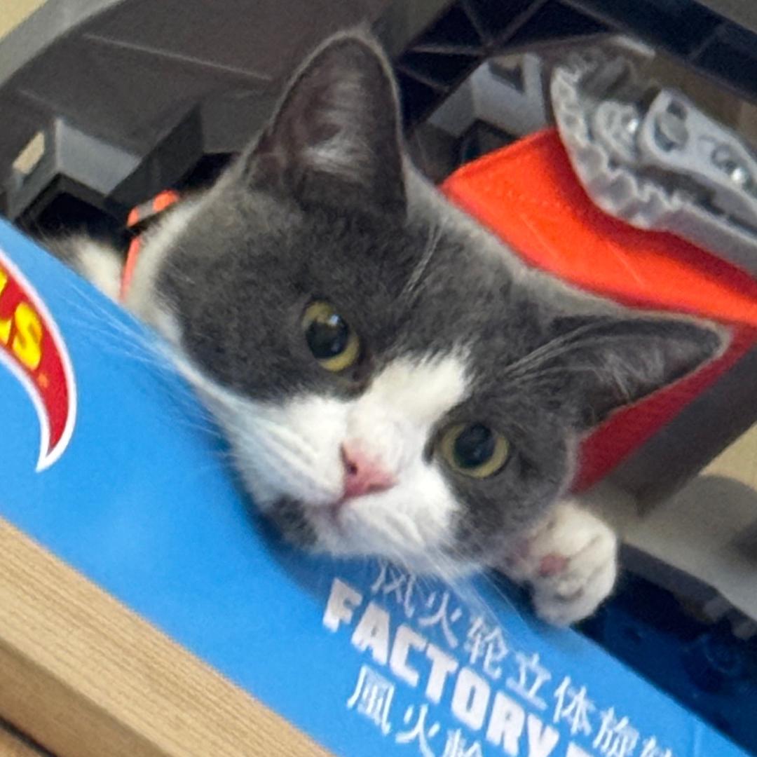 我在期待什么