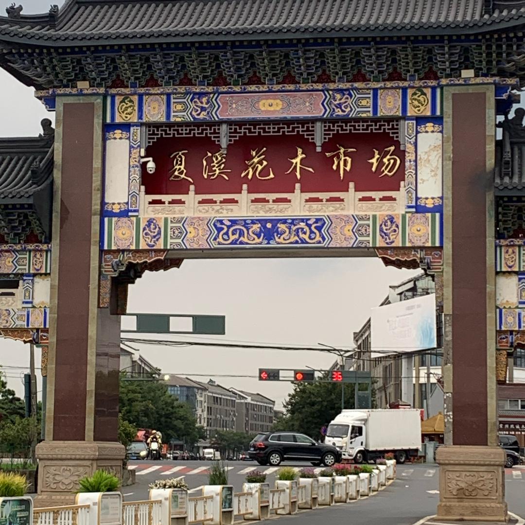 常州夏溪绿嘉苗木