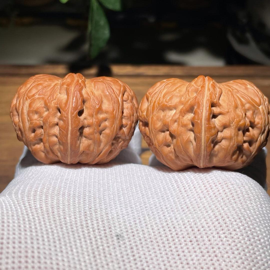 核桃骚华呀