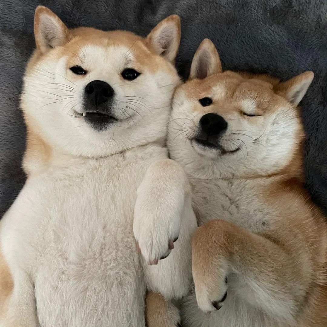 不要说话🤫