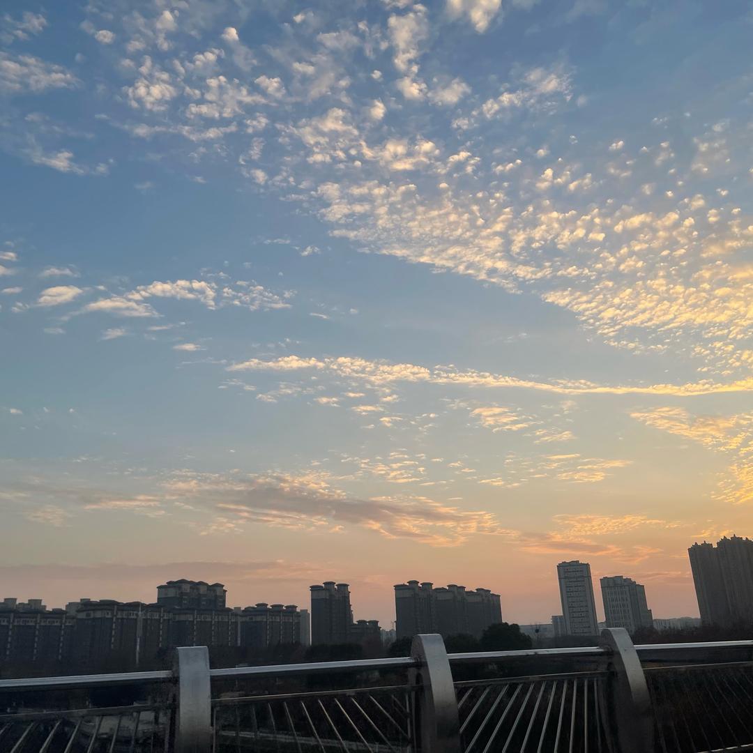 ༺།༼࿄࿆成࿅࿆༽།༻