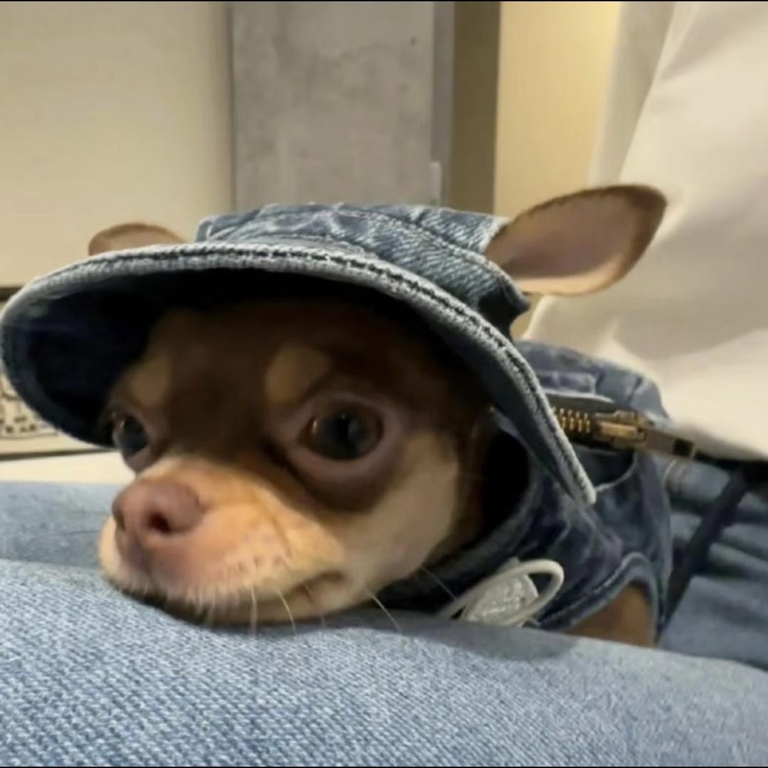 le（伤心男大版）