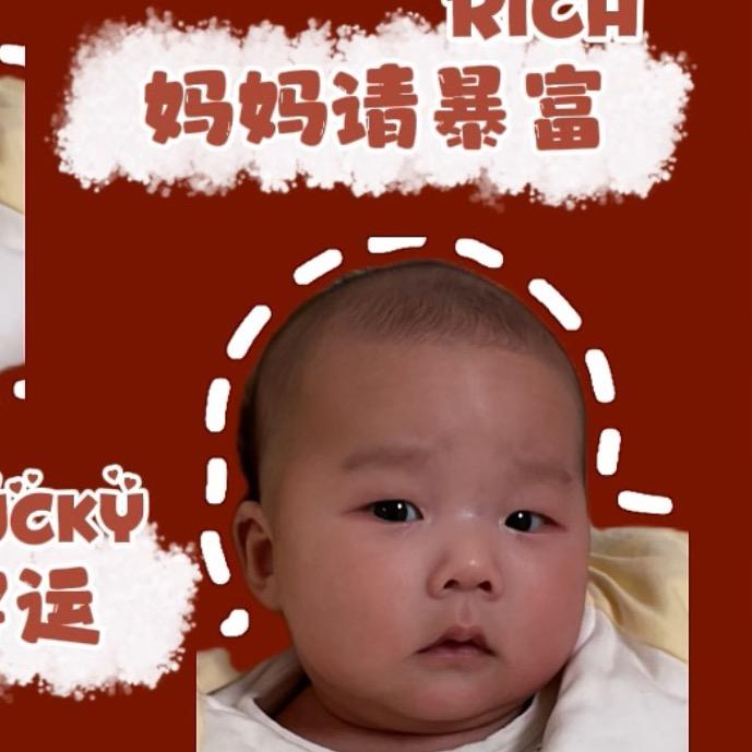 袁宝游历记（10月龄学生版）