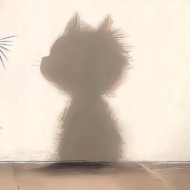 5868