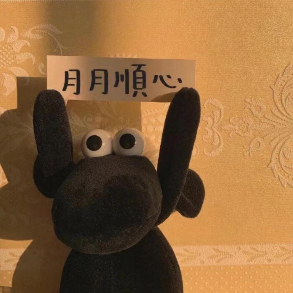 小月儿乖乖🌙