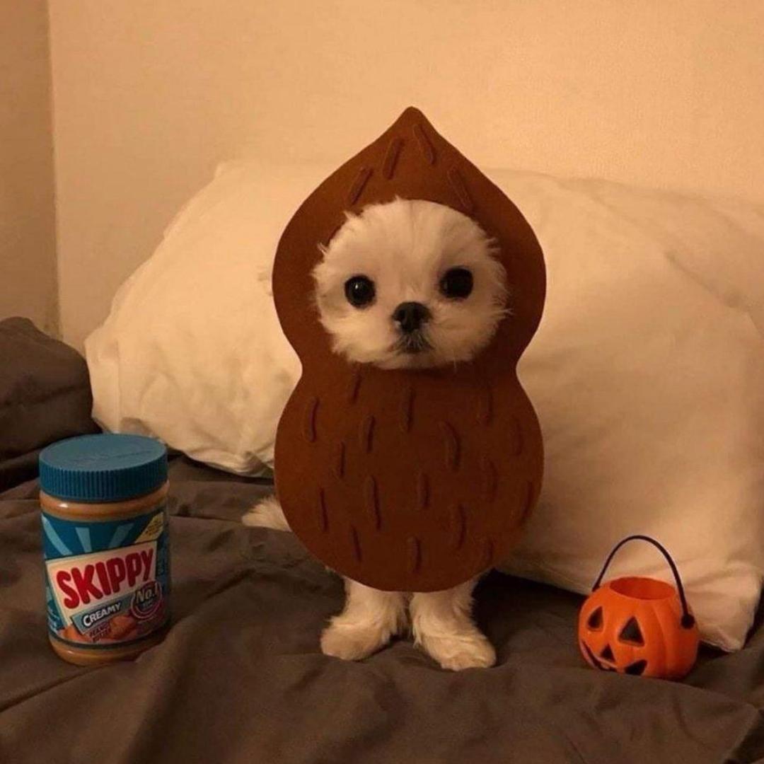 ㅤ ㅤㅤㅤㅤㅤㅤ