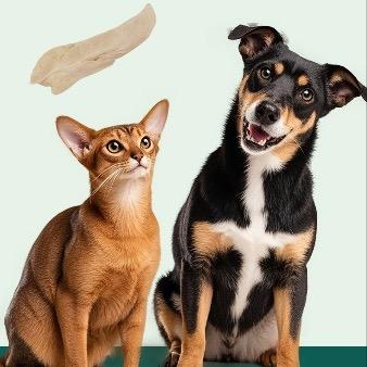 倍鲜法则宠物冻干零食店