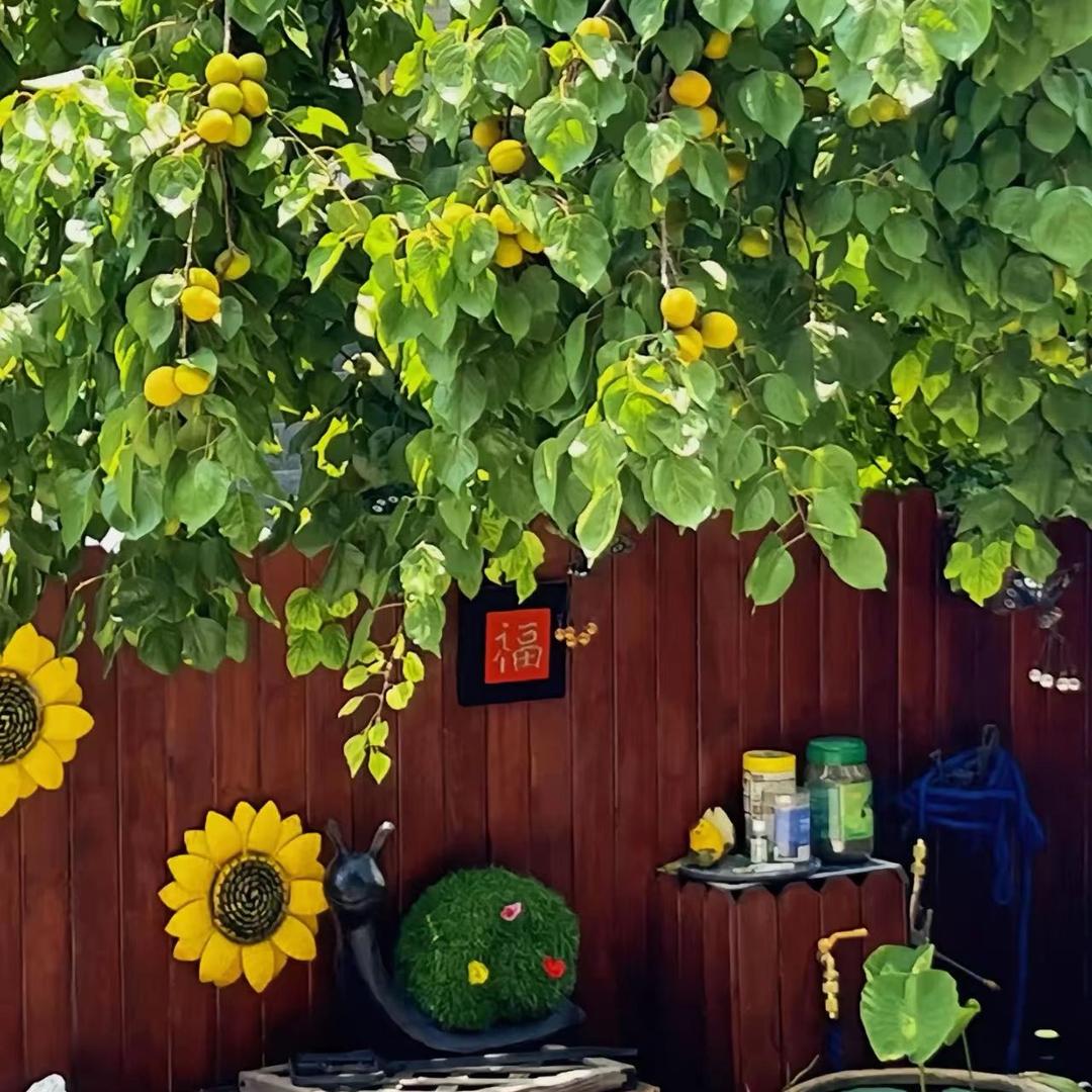 🐮张家老四🐮