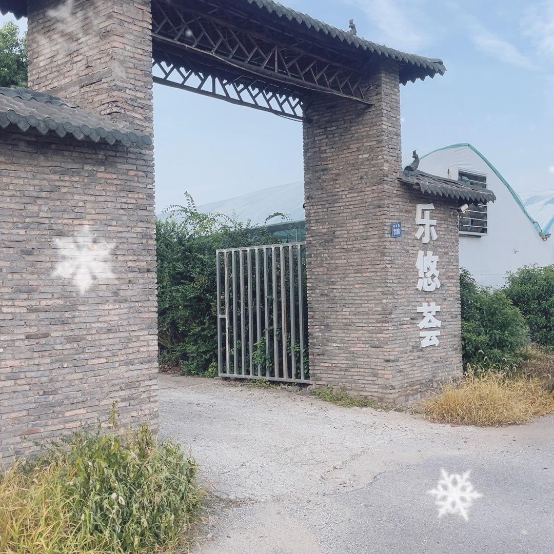 乐悠荟（钓虾，路亚）
