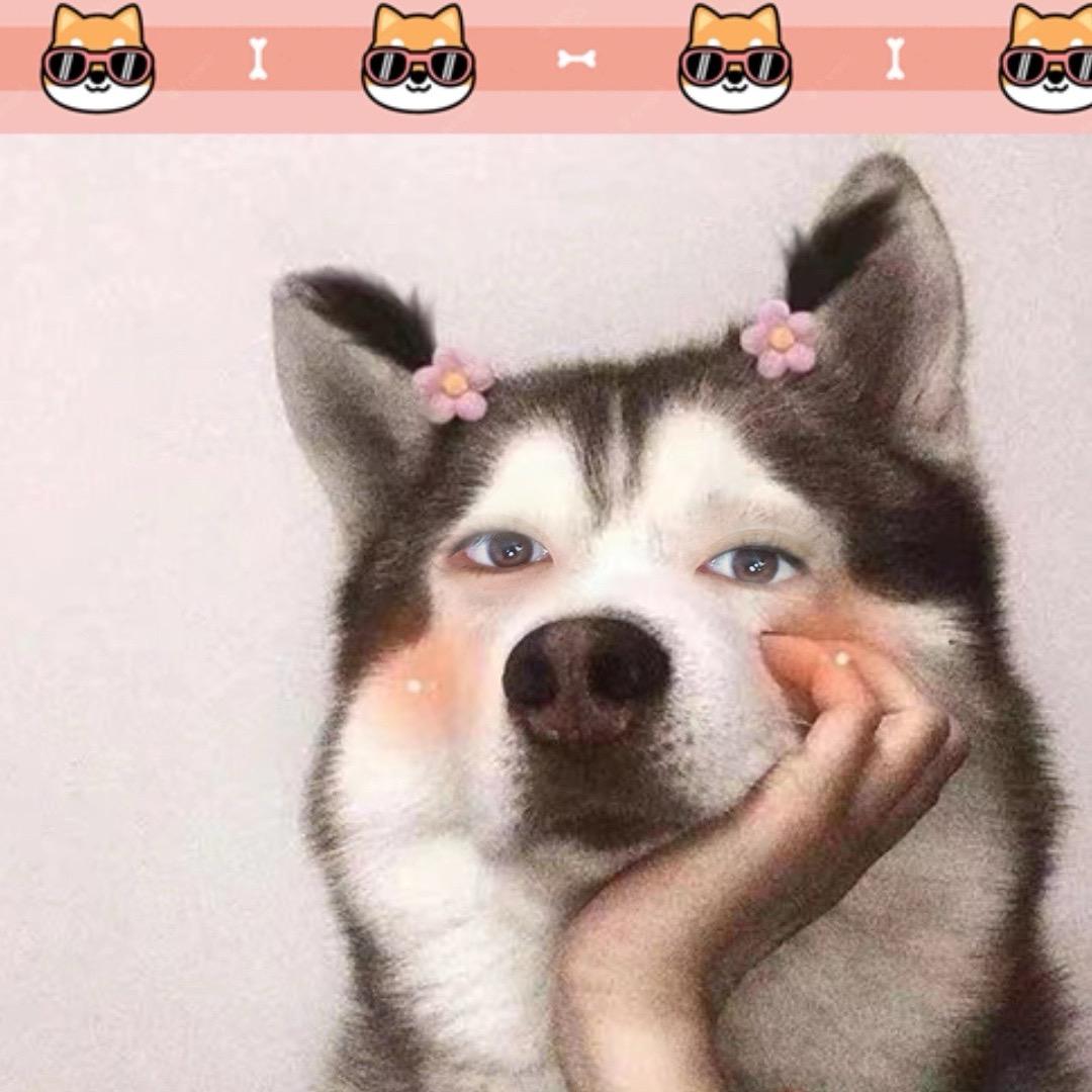 💫 Sy