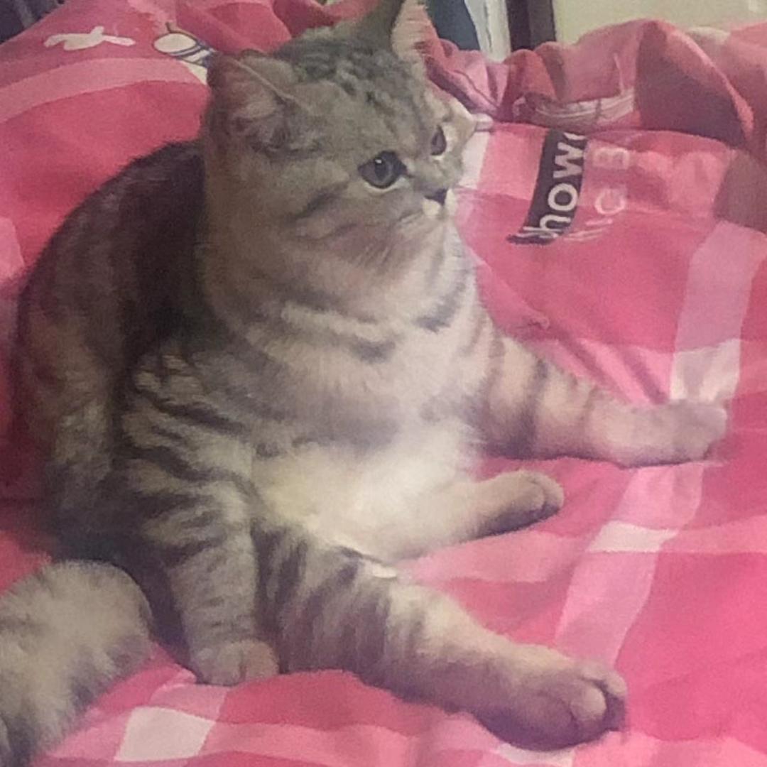 诸葛富贵