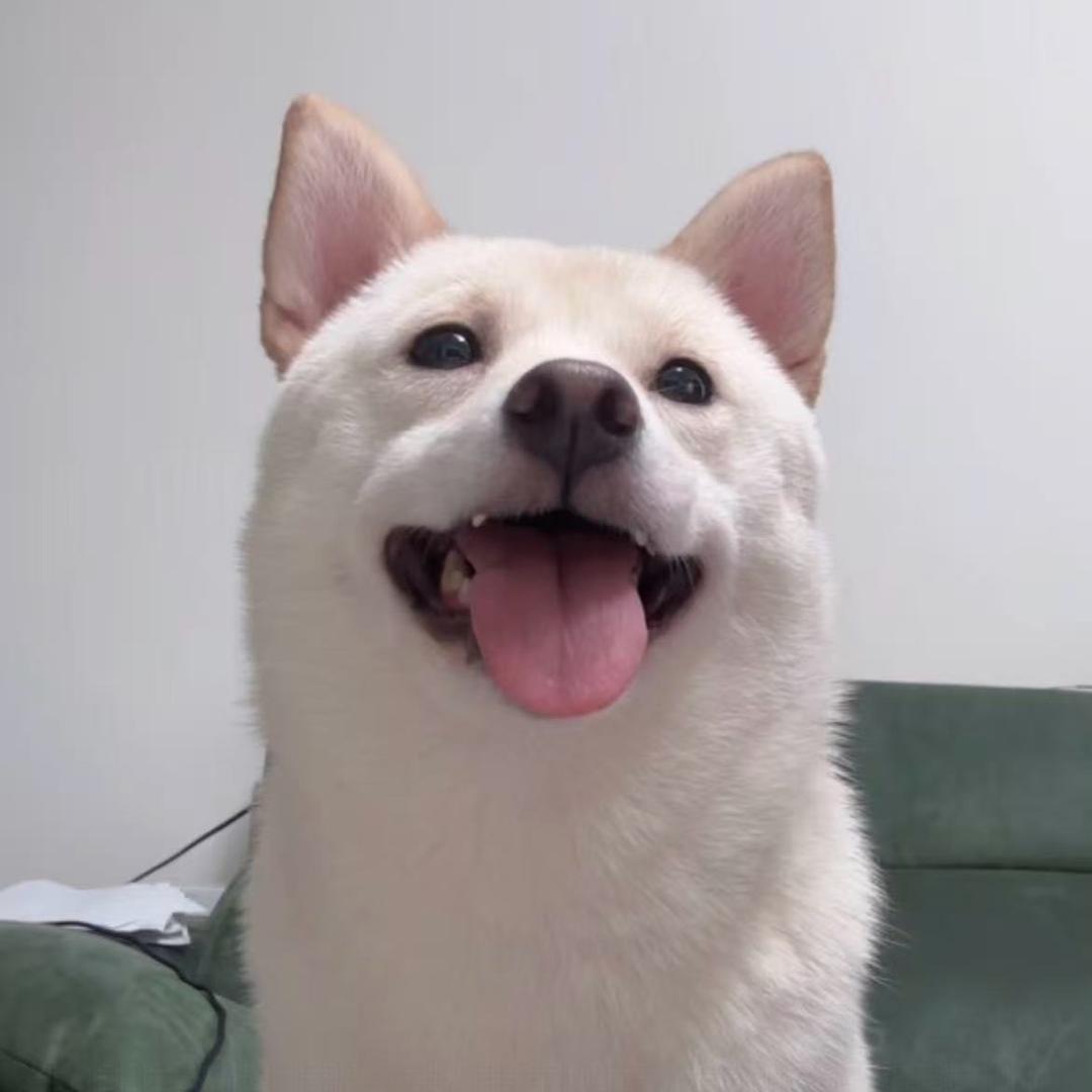 午夜馒头