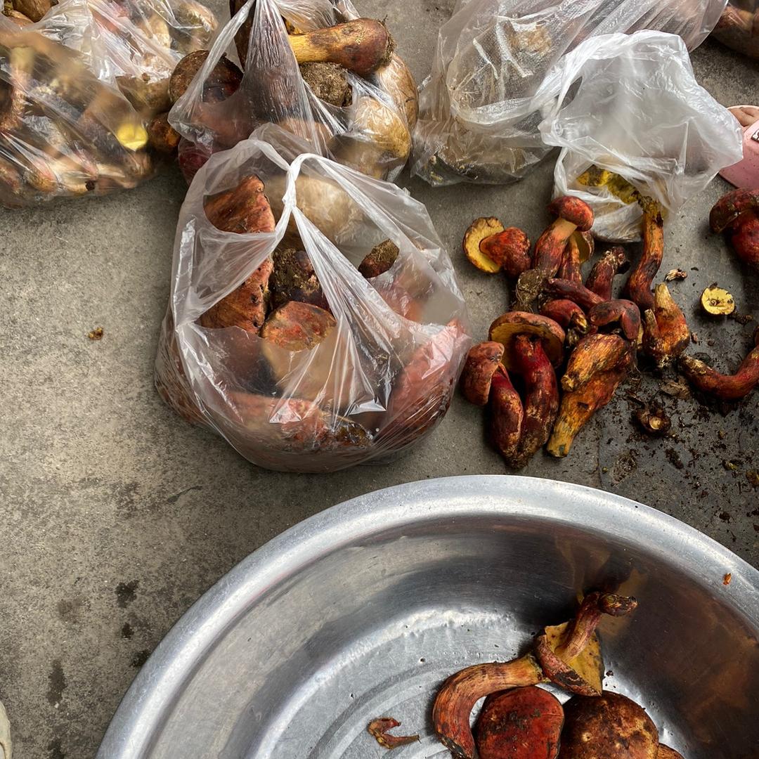腾冲市奇少土特产店