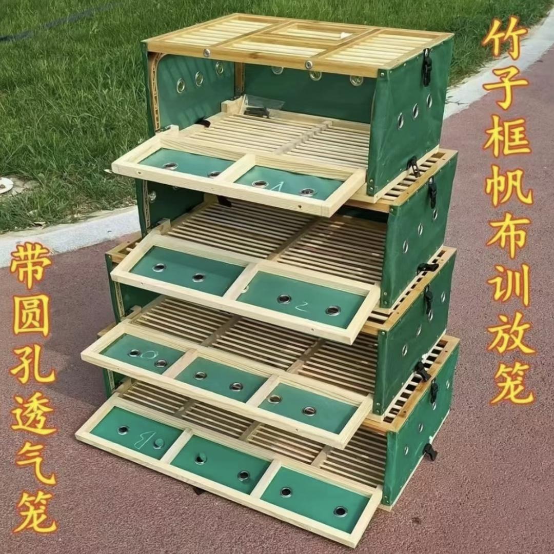 泽泽鸽具厂