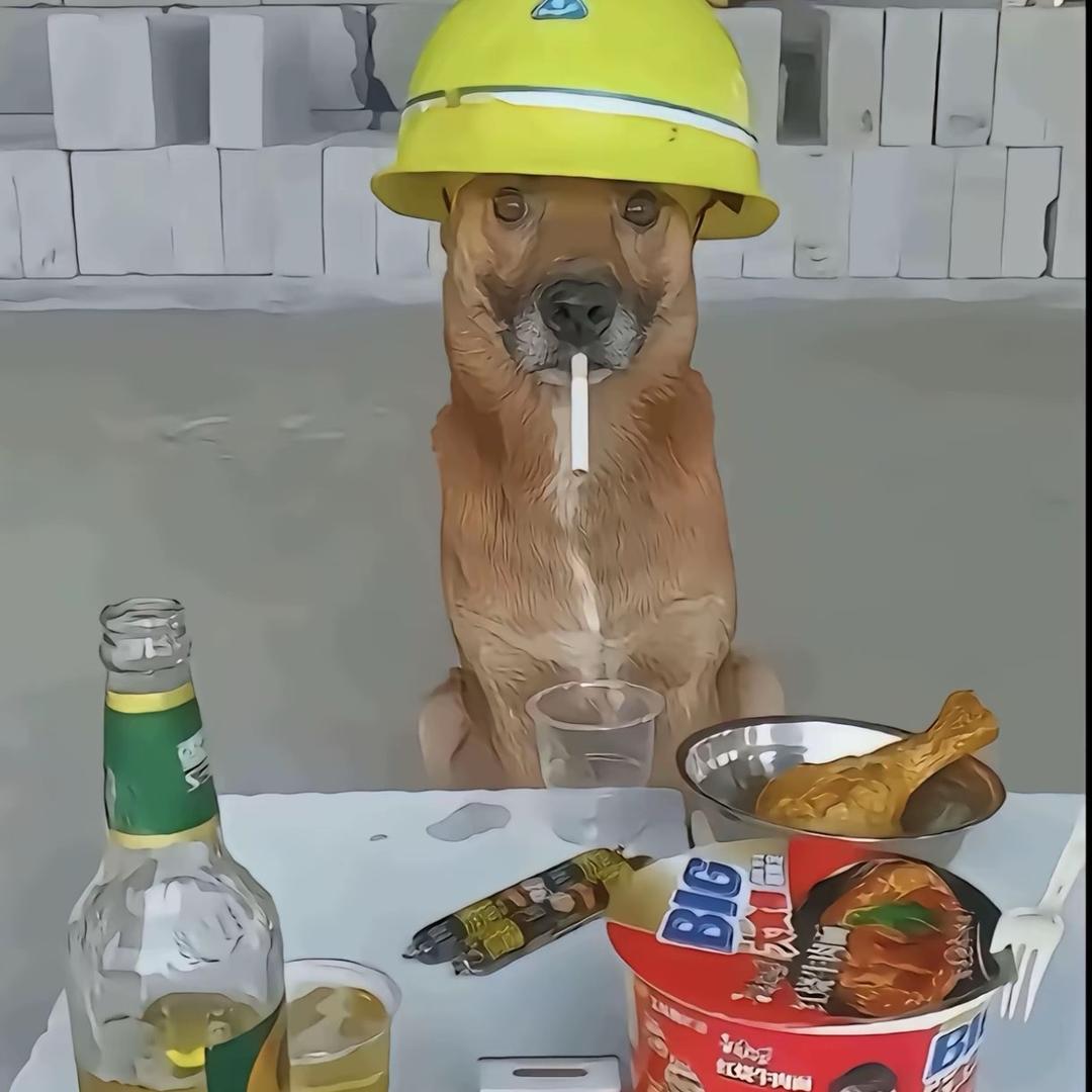 赤