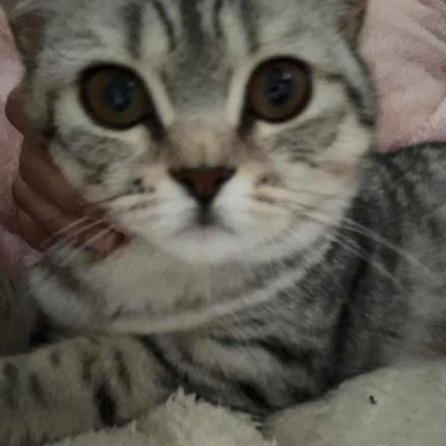 小唐好忙
