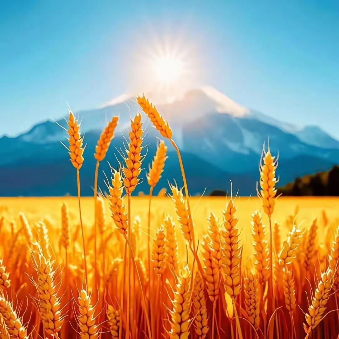 优课聚鑫美容店