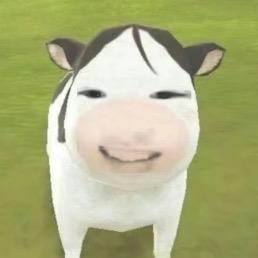 淚未靜.