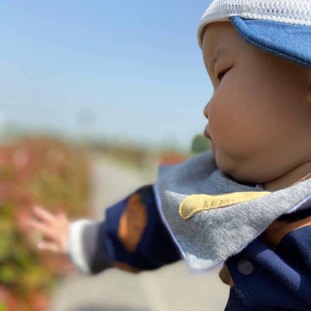 鹿鹿Ming